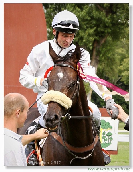 Bratislava - 26. jna 2011 