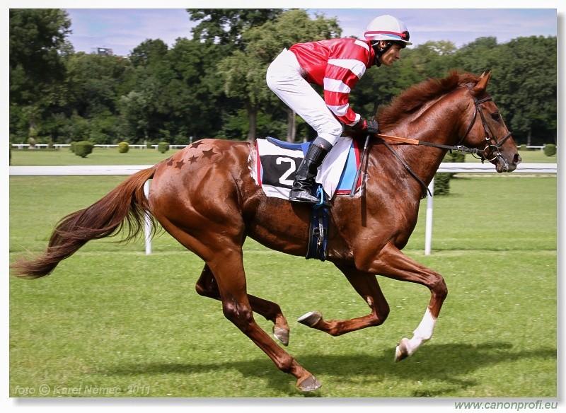 Bratislava - 26. jna 2011 