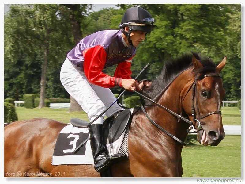 Bratislava - 26. jna 2011 