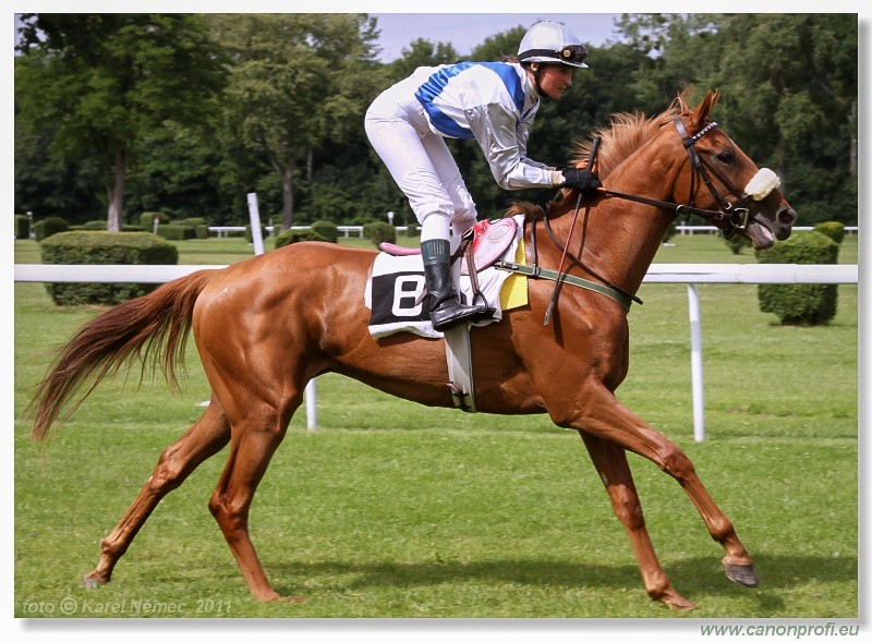 Bratislava - 26. jna 2011 