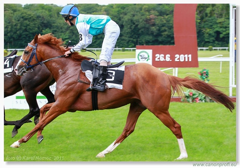 Bratislava - 26. jna 2011 