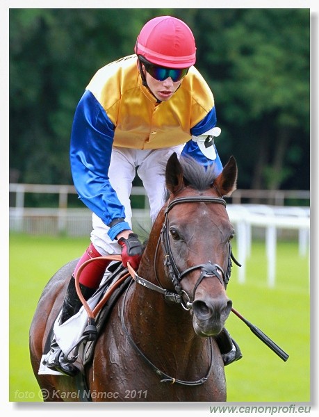 Bratislava - 26. jna 2011 