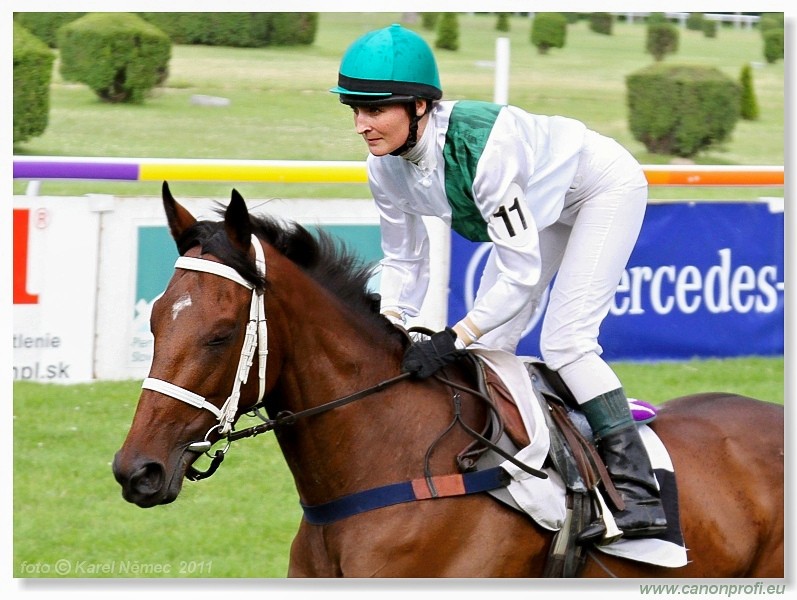 Bratislava - 26. jna 2011 