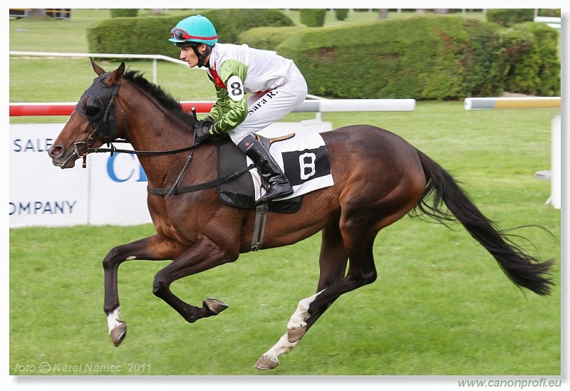 Bratislava - 26. jna 2011 