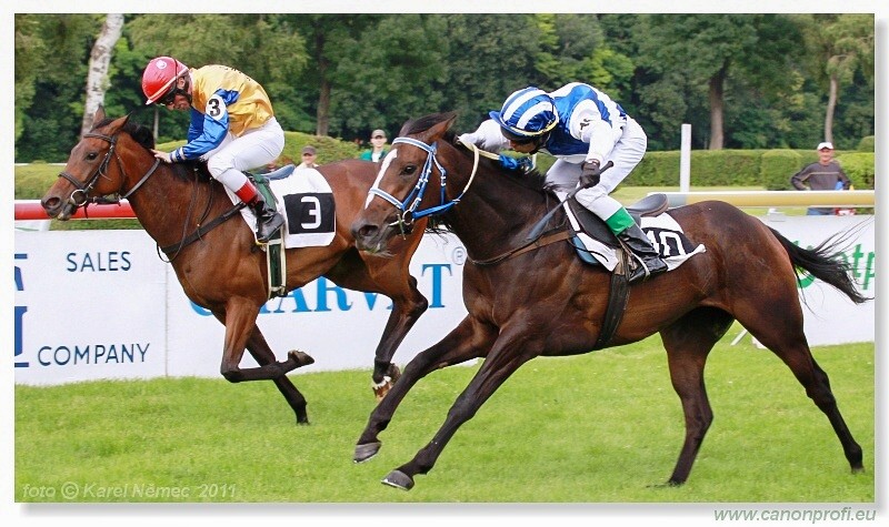 Bratislava - 26. jna 2011 