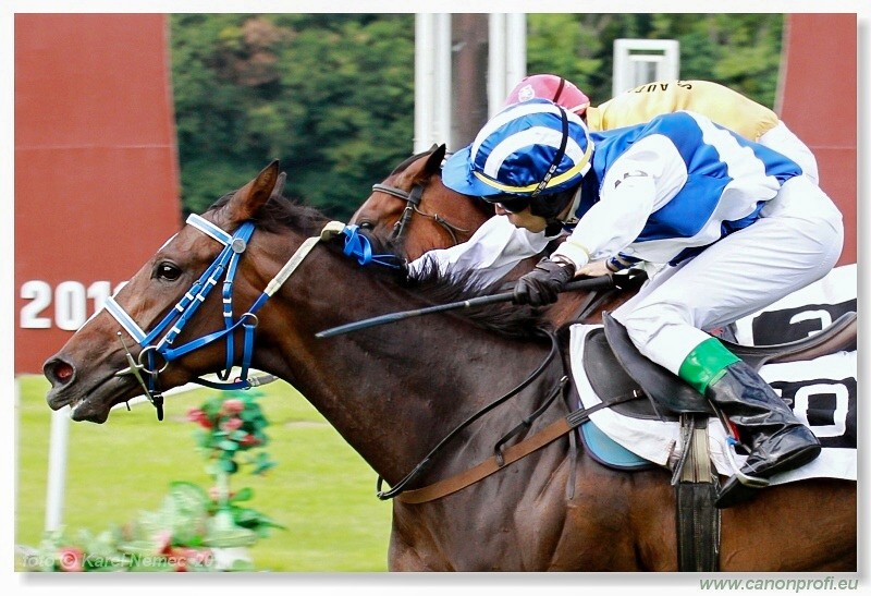 Bratislava - 26. jna 2011 