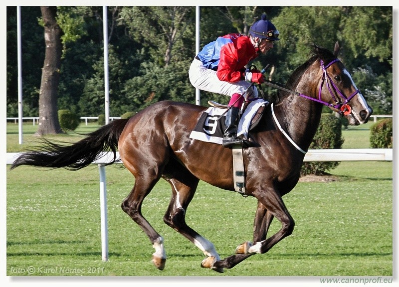 Bratislava - 17. jla 2011 