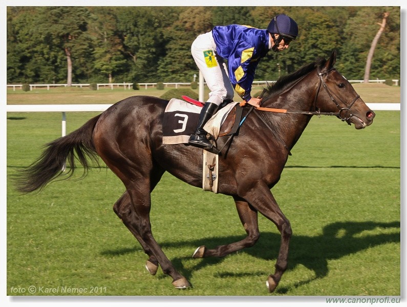 Bratislava - 25. septembra 2011 