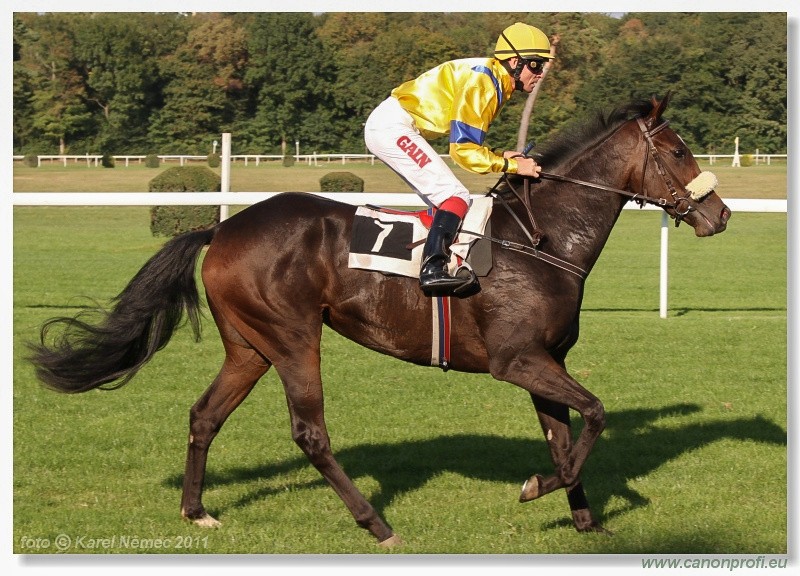 Bratislava - 25. septembra 2011 