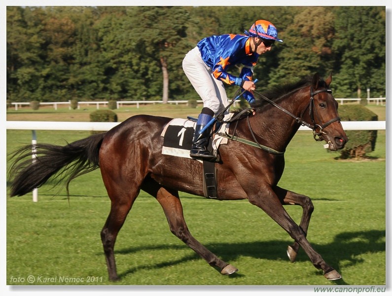 Bratislava - 25. septembra 2011 