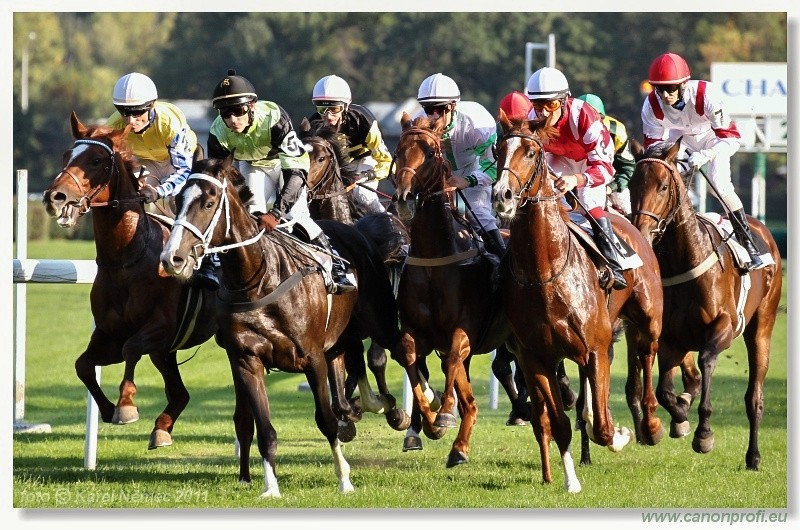 Bratislava - 25. septembra 2011 