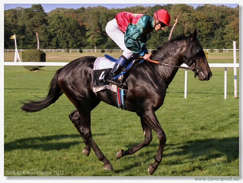 Bratislava - 25. septembra 2011 