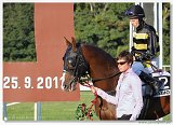 Saint Leger Charvt 