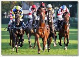 Saint Leger Charvt 