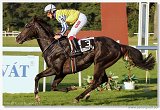 Saint Leger Charvt 
