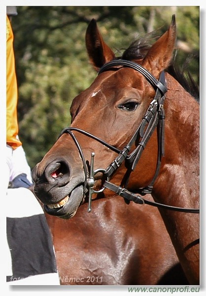 Bratislava - 02. oktbra 2011 