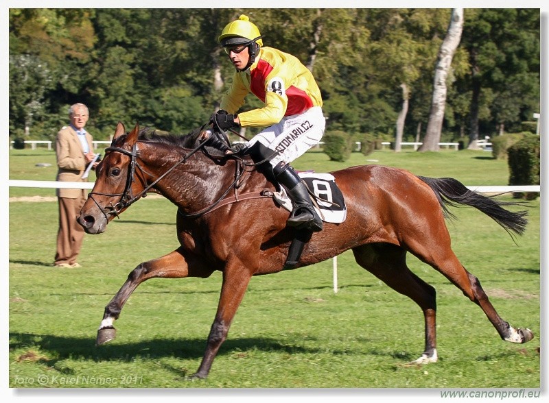 Bratislava - 02. oktbra 2011 