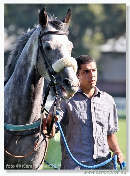 Bratislava - 02. oktbra 2011 