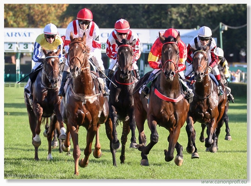 Bratislava - 02. oktbra 2011 