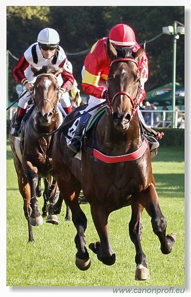 Bratislava - 02. oktbra 2011 