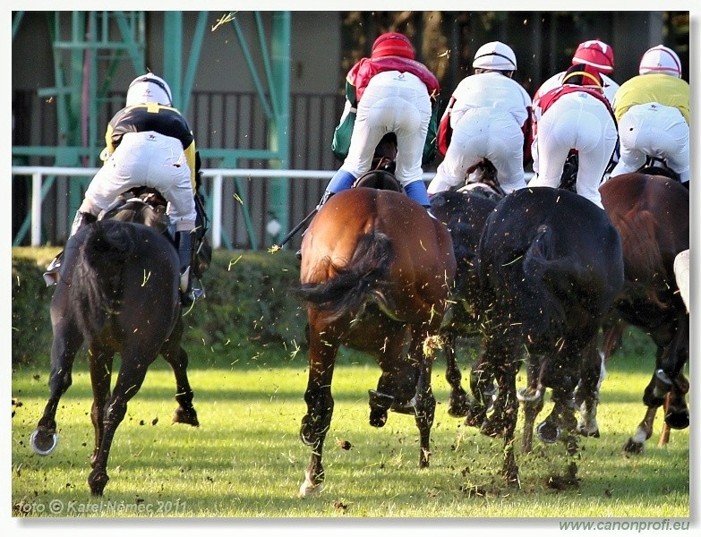 Bratislava - 02. oktbra 2011 