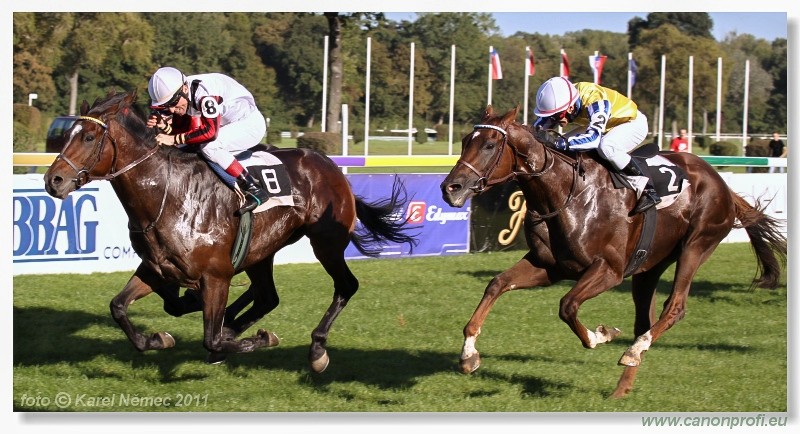 Bratislava - 02. oktbra 2011 