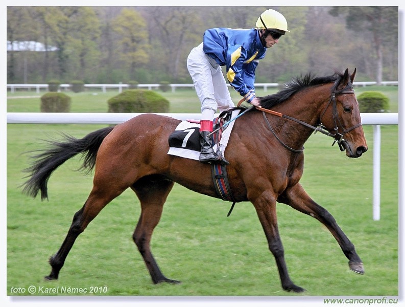 Bratislava - 11. apr�la 2010 