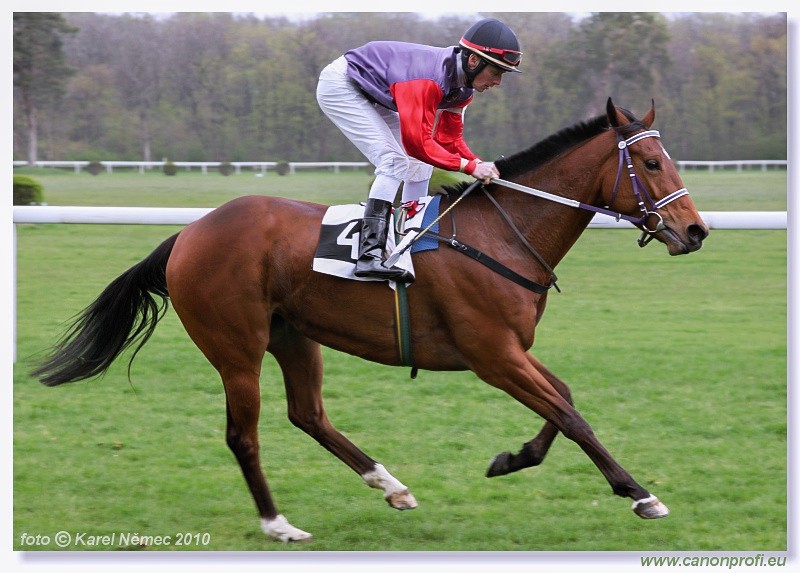 Bratislava - 11. apr�la 2010 