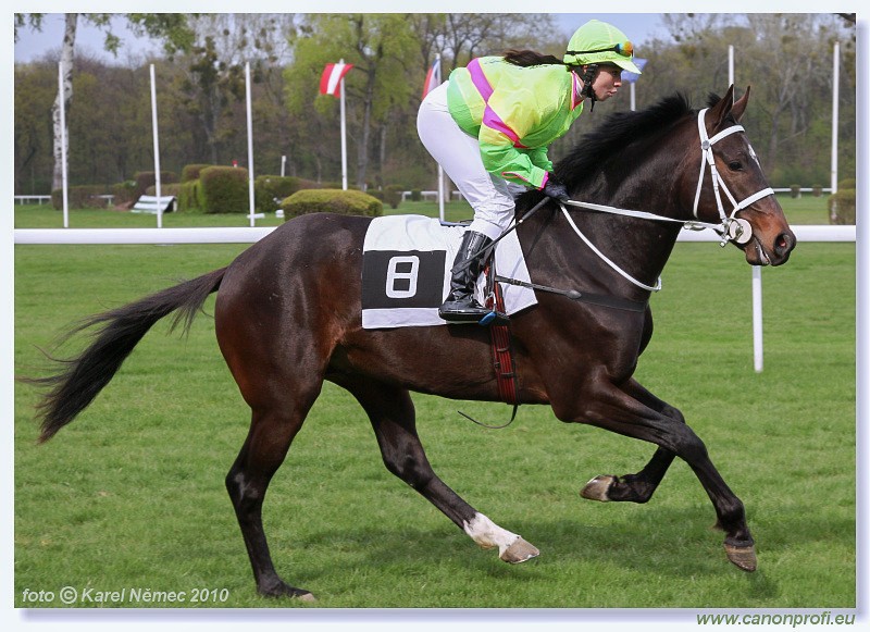 Bratislava - 11. apr�la 2010 