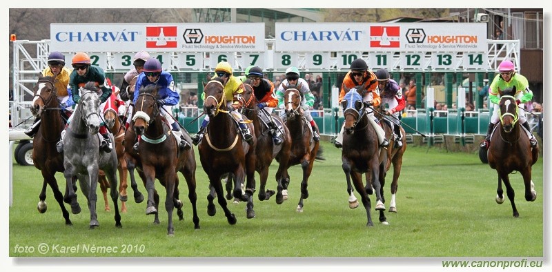 Bratislava - 11. apr�la 2010 