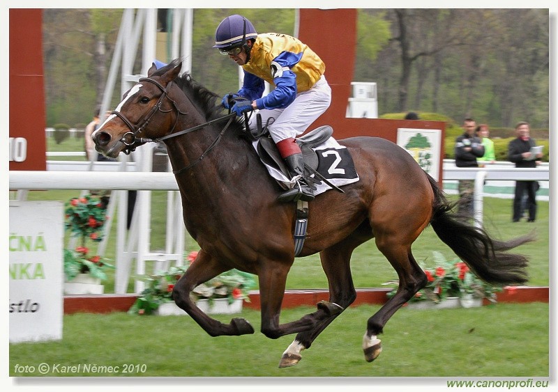 Bratislava - 11. apr�la 2010 