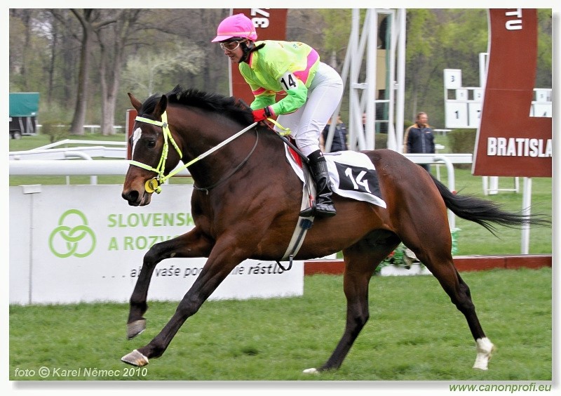 Bratislava - 11. apr�la 2010 