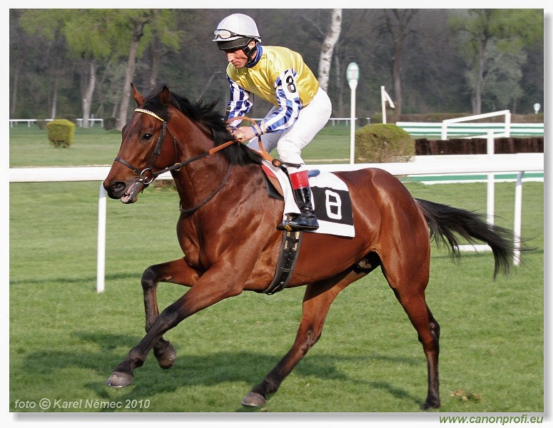 Bratislava - 11. aprla 2010 