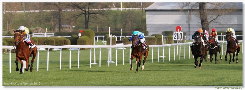 Bratislava - 11. aprla 2010 