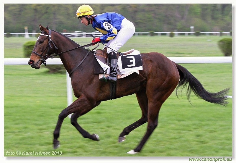 Bratislava - 18. apr�la 2010 