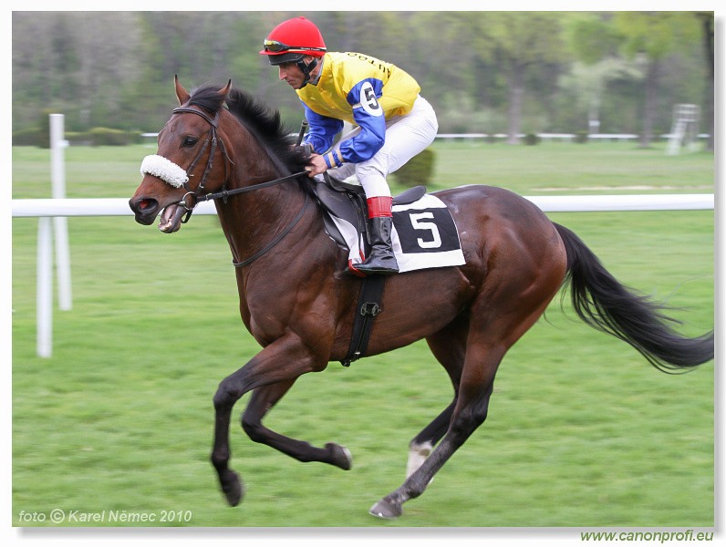 Bratislava - 18. apr�la 2010 