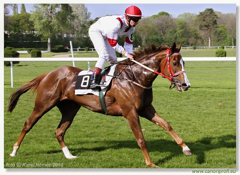 Bratislava - 25. apr�la 2010 