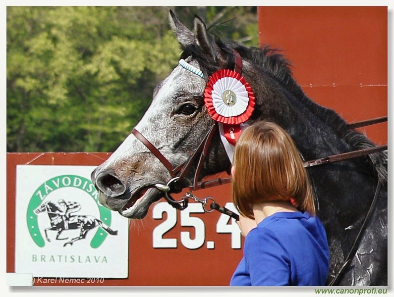 Bratislava - 25. apr�la 2010 