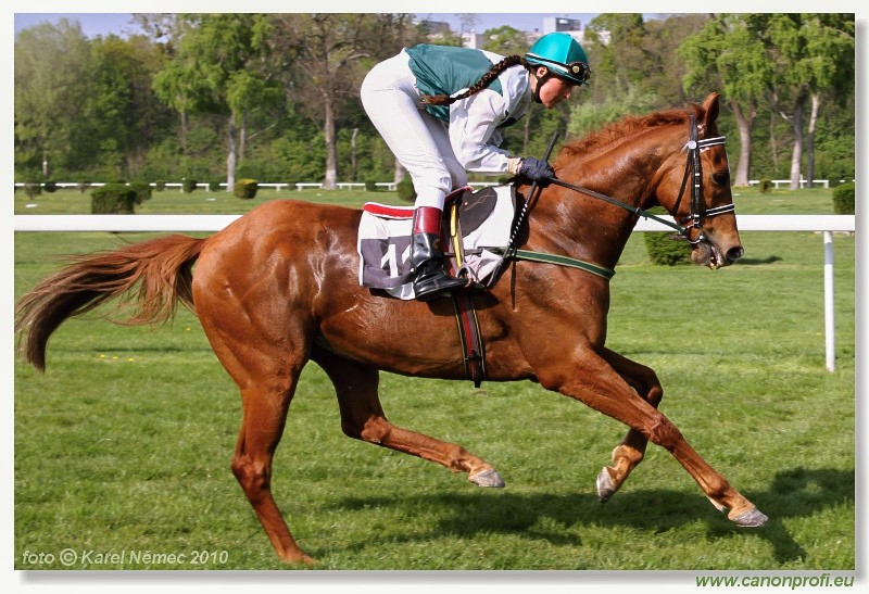 Bratislava - 25. apr�la 2010 