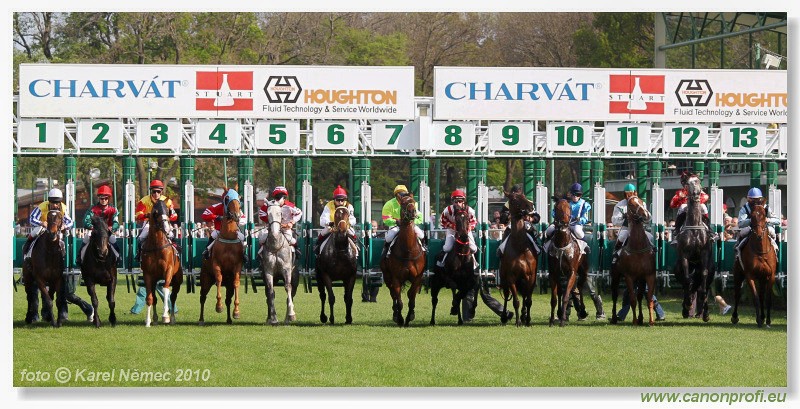 Bratislava - 25. apr�la 2010 