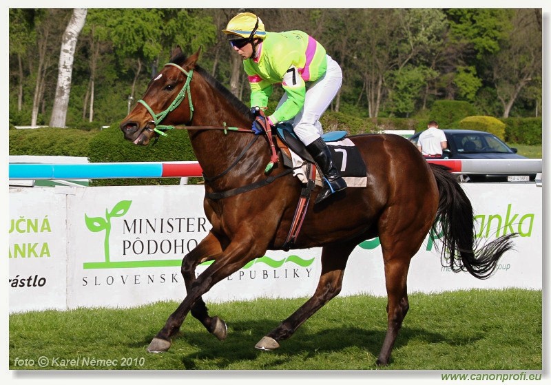 Bratislava - 25. apr�la 2010 