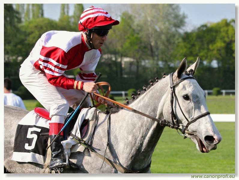 Bratislava - 25. apr�la 2010 