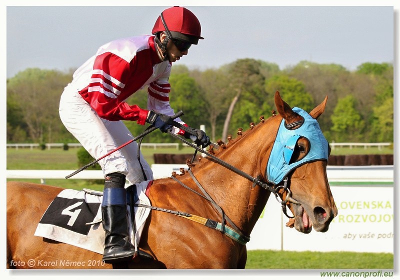 Bratislava - 25. apr�la 2010 