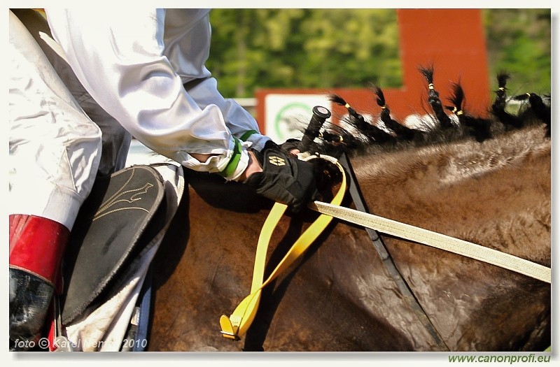 Bratislava - 25. apr�la 2010 