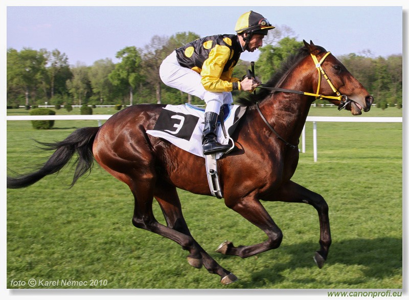 Bratislava - 25. aprla 2010 