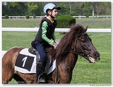 Pony 