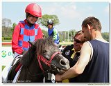 Pony 