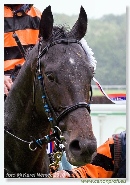 Bratislava - 16. m�ja 2010 