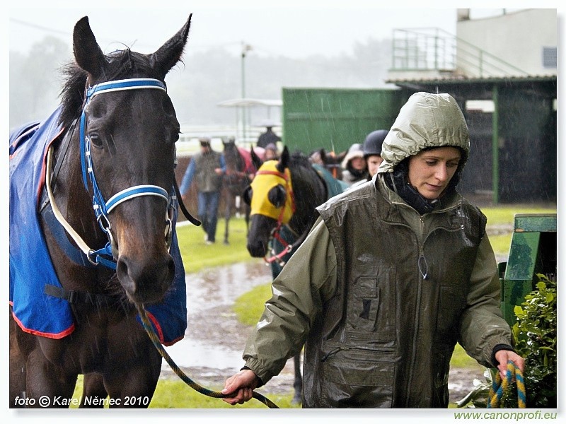 Bratislava - 16. m�ja 2010 