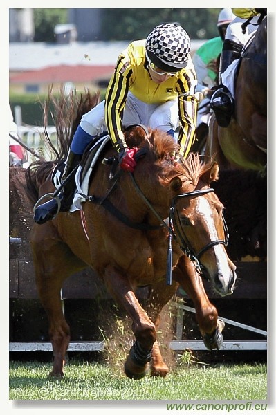 Bratislava - 23. m�ja 2010 